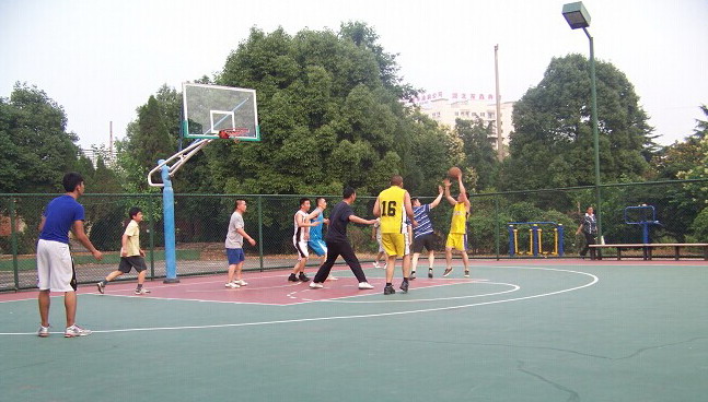 香港六家宝典资料大全