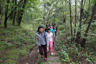 香港六家宝典资料大全