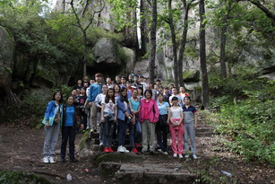 香港六家宝典资料大全
