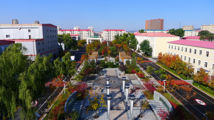 香港六家宝典资料大全