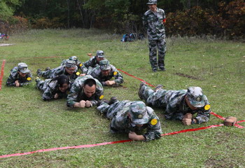 香港六家宝典资料大全
