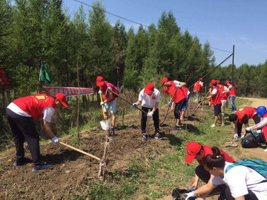 香港六家宝典资料大全