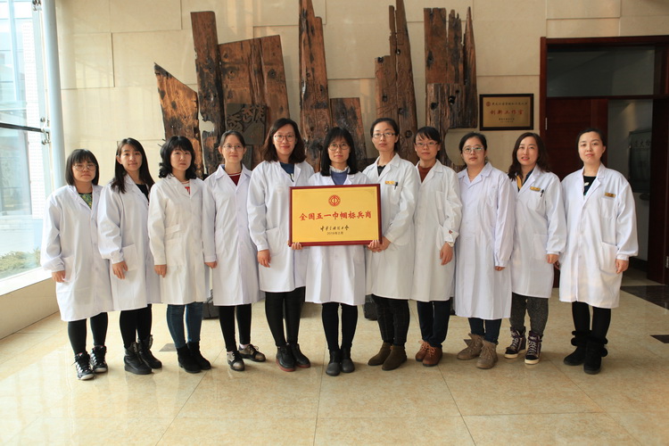 香港六家宝典资料大全