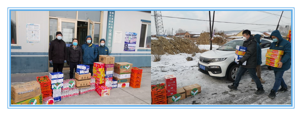 香港六家宝典资料大全