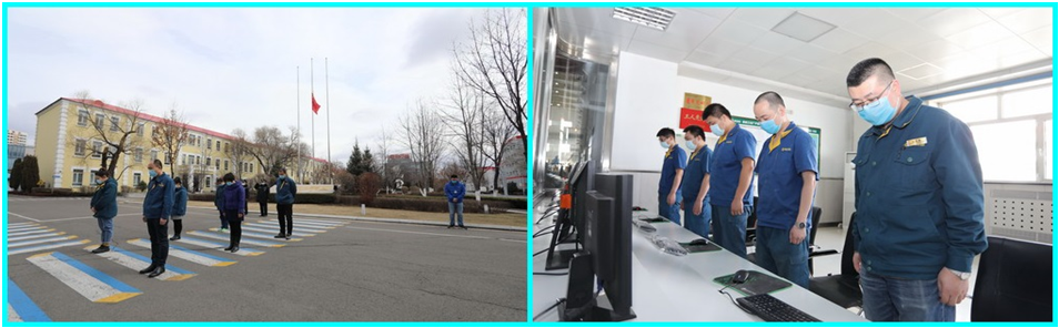 香港六家宝典资料大全