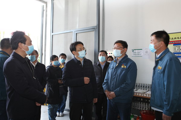 香港六家宝典资料大全