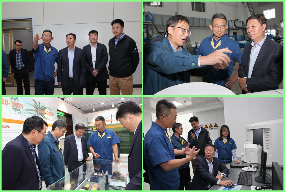 香港六家宝典资料大全