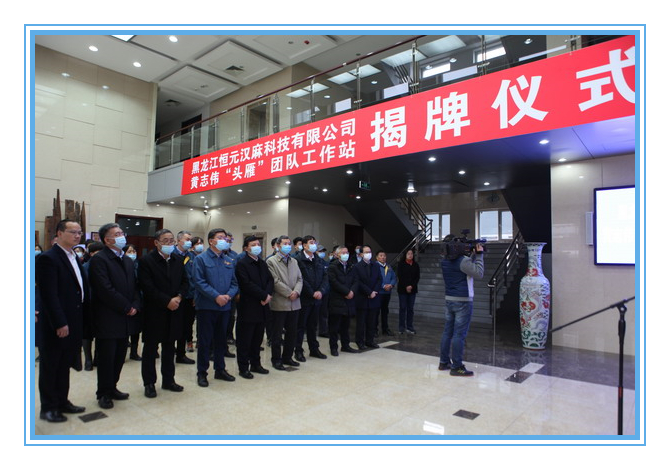 香港六家宝典资料大全