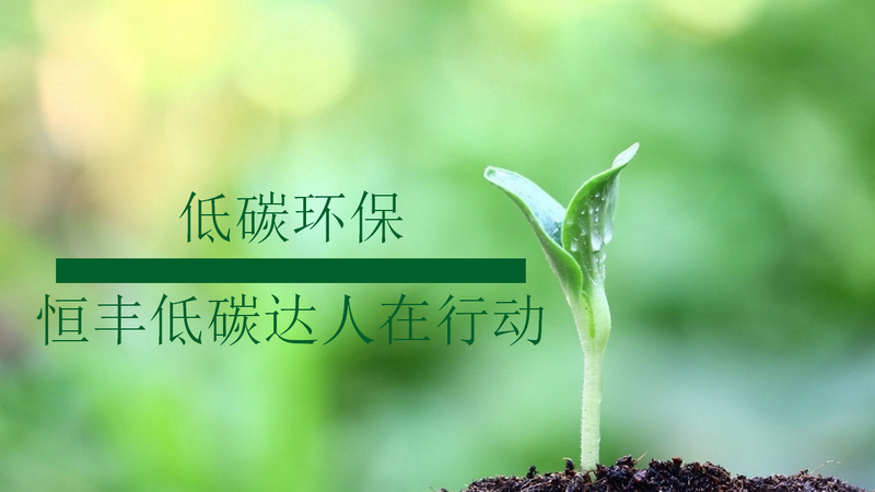 香港六家宝典资料大全