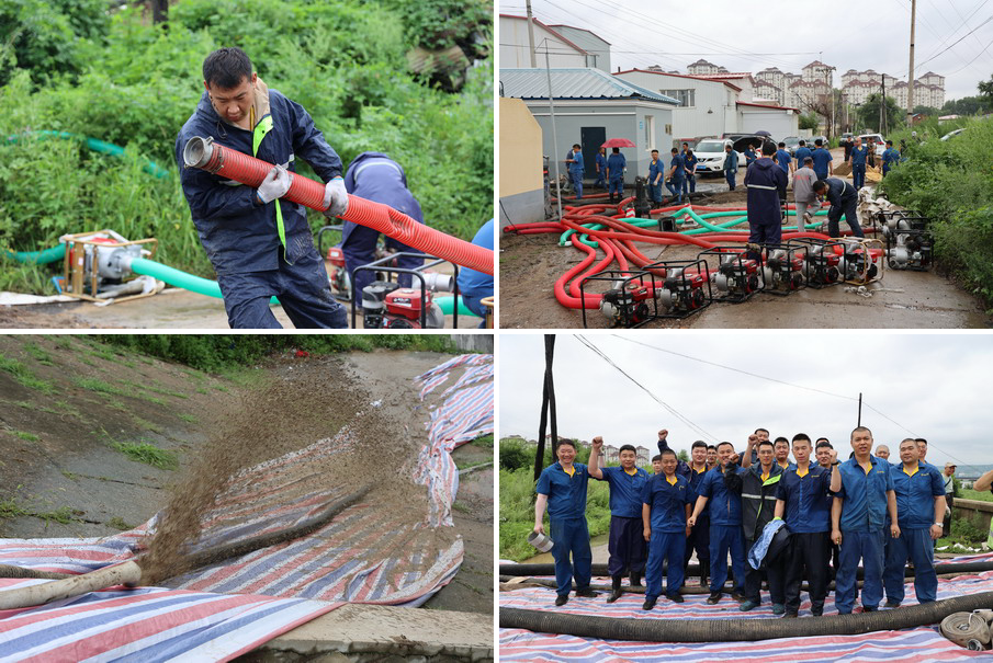 香港六家宝典资料大全