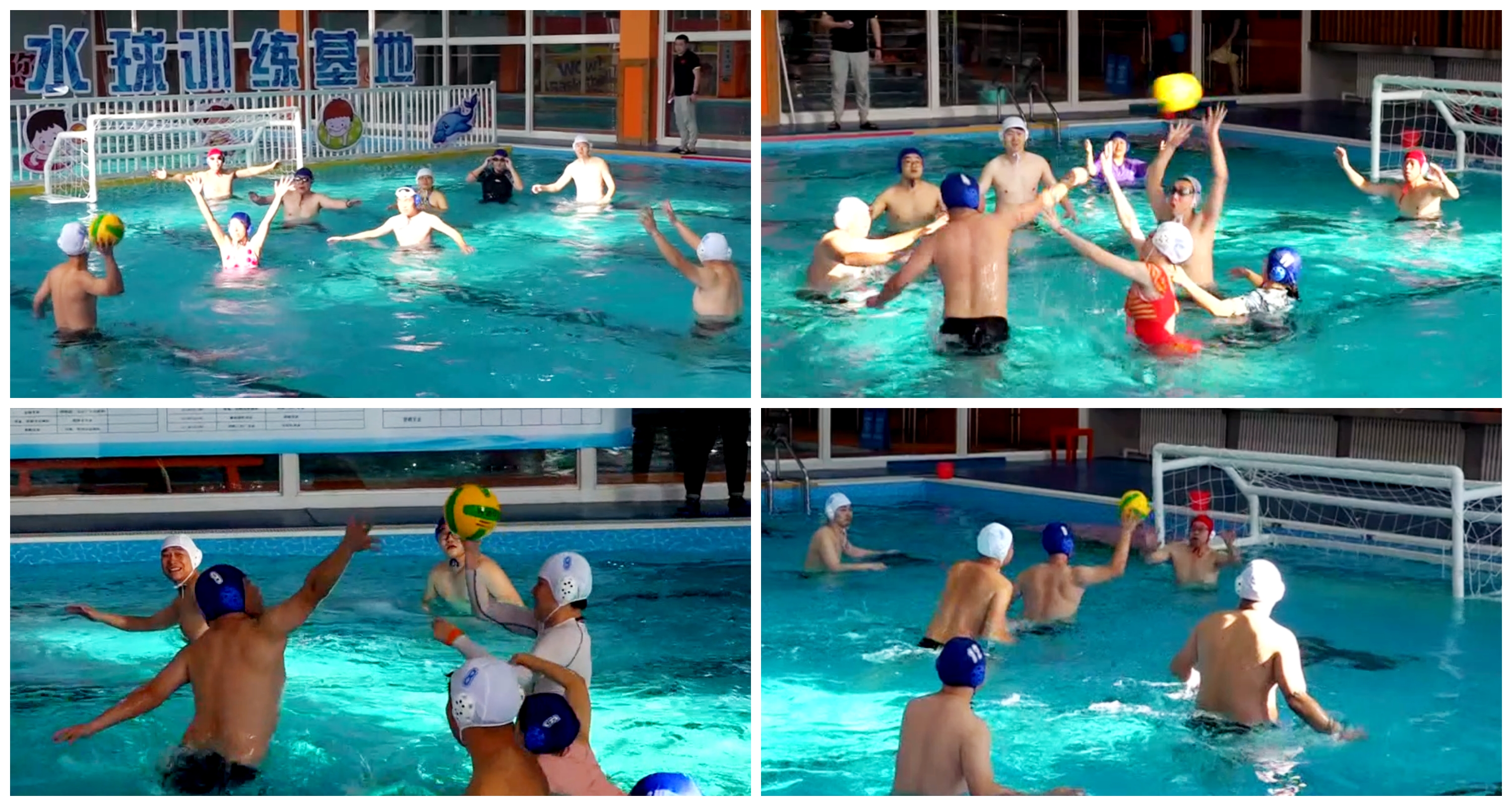 香港六家宝典资料大全