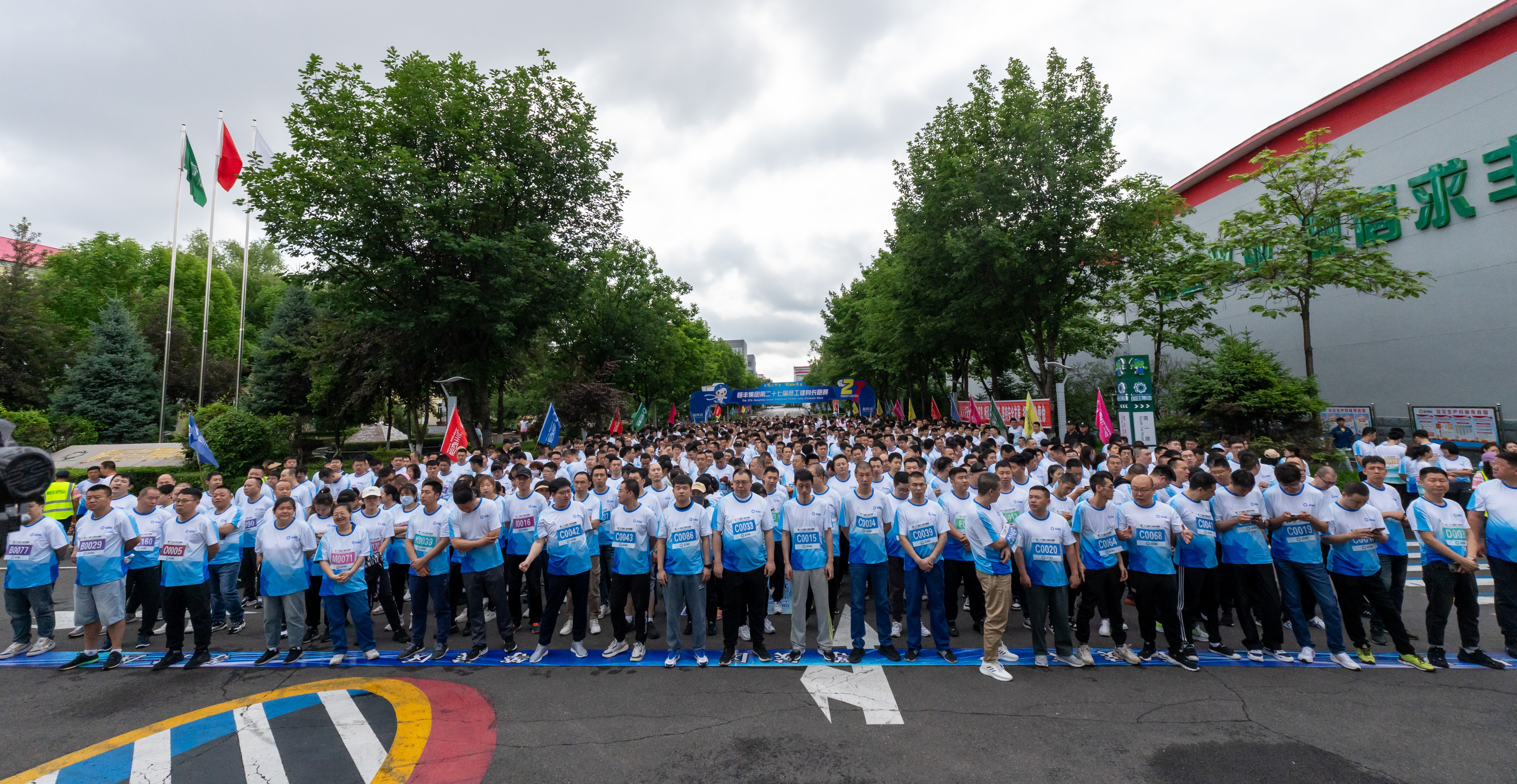 香港六家宝典资料大全