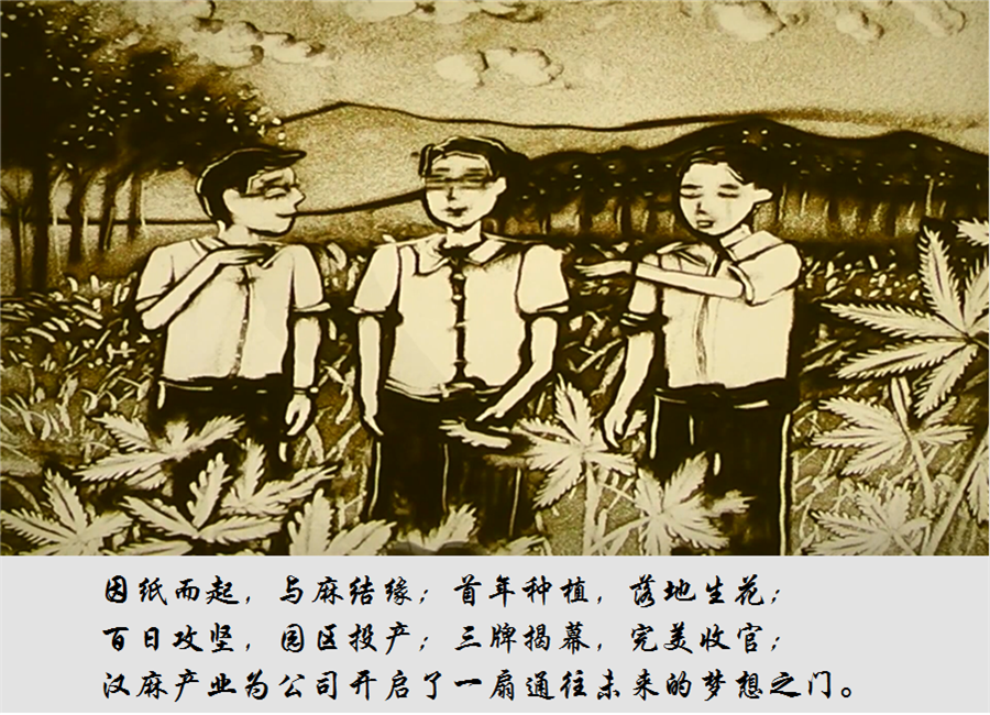 香港六家宝典资料大全