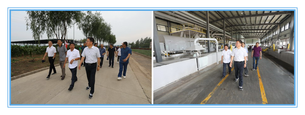 香港六家宝典资料大全