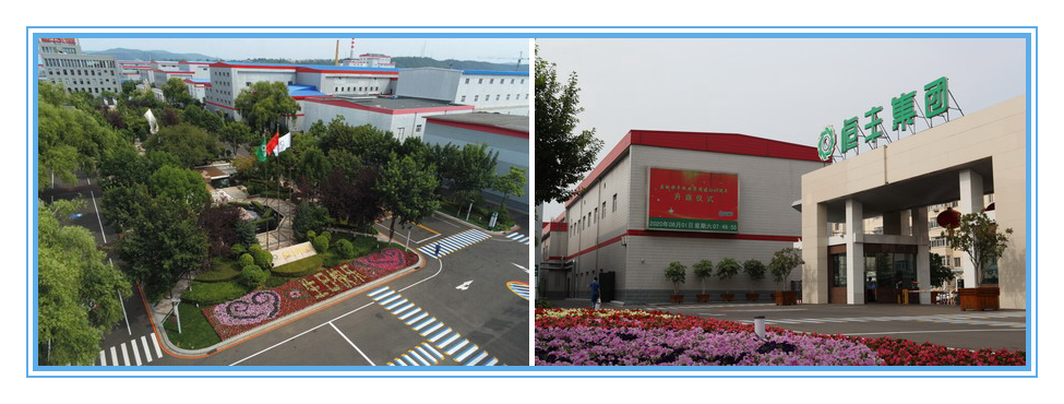 香港六家宝典资料大全