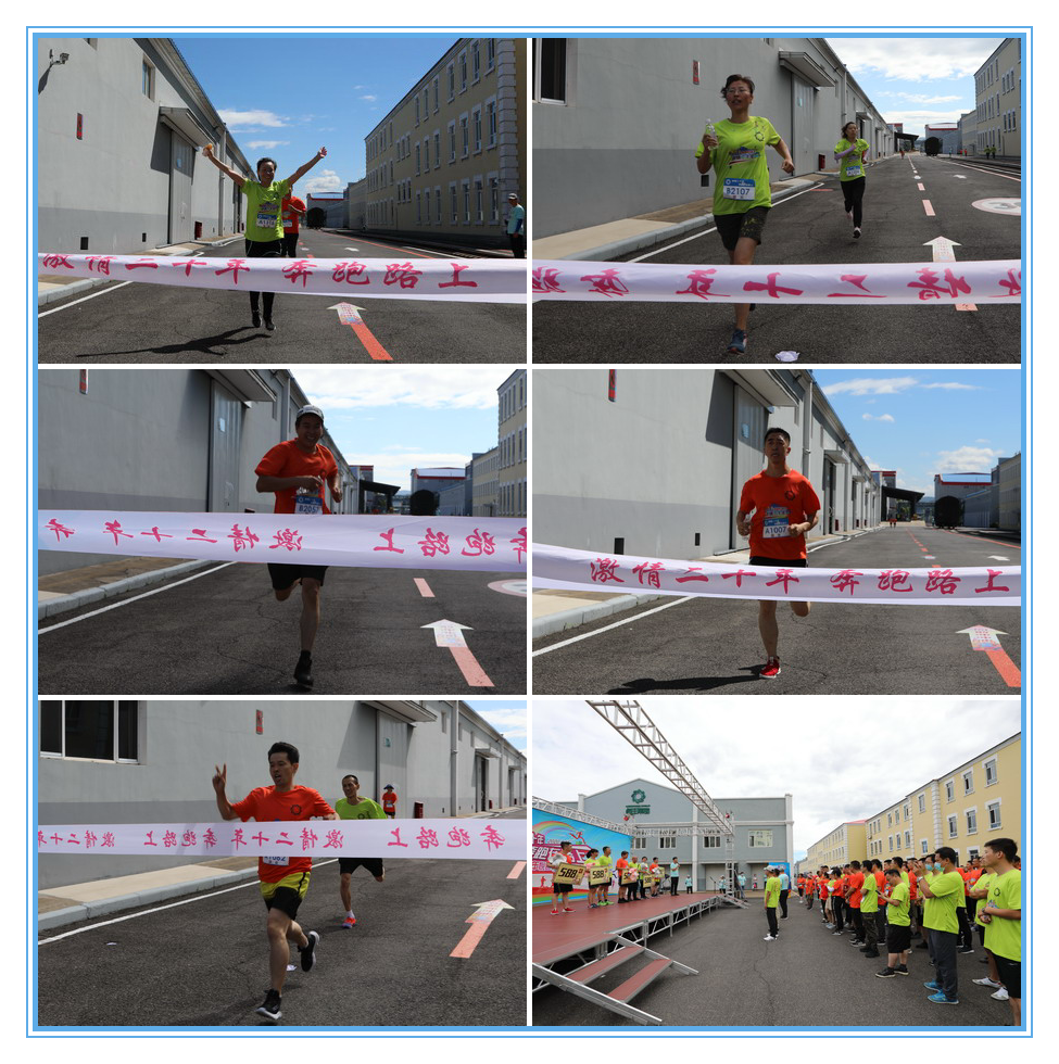 香港六家宝典资料大全