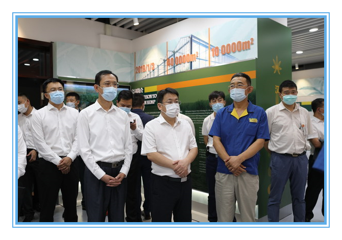 香港六家宝典资料大全