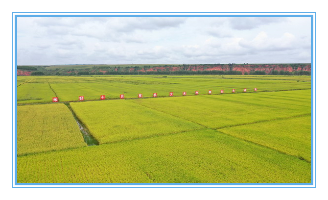 香港六家宝典资料大全