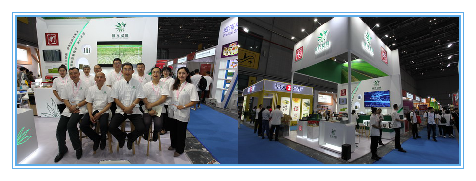 香港六家宝典资料大全