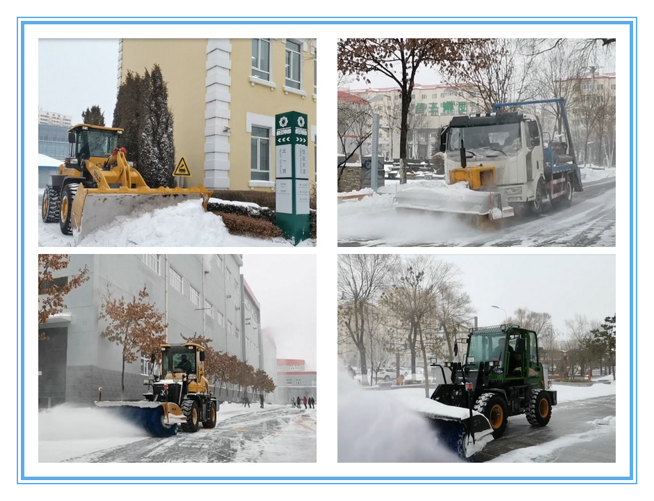 香港六家宝典资料大全