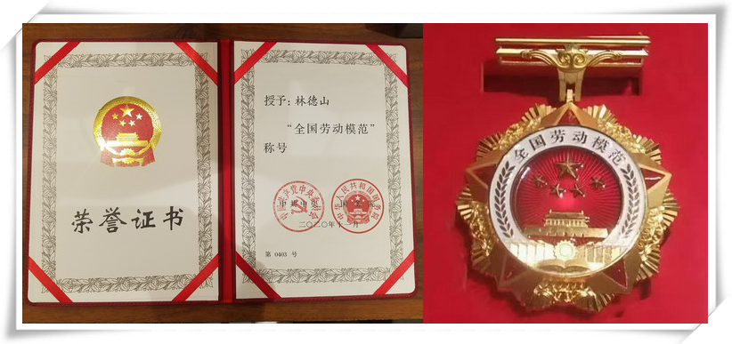 香港六家宝典资料大全