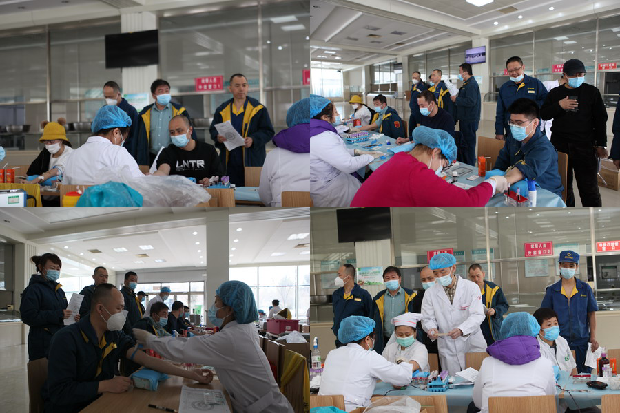 香港六家宝典资料大全