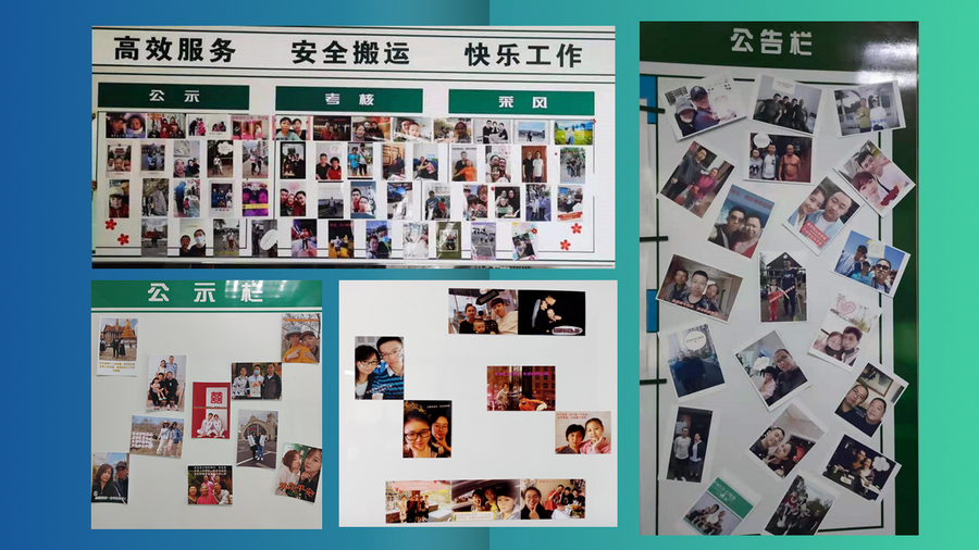 香港六家宝典资料大全