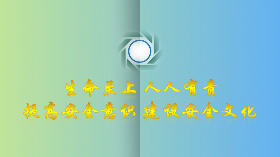 香港六家宝典资料大全