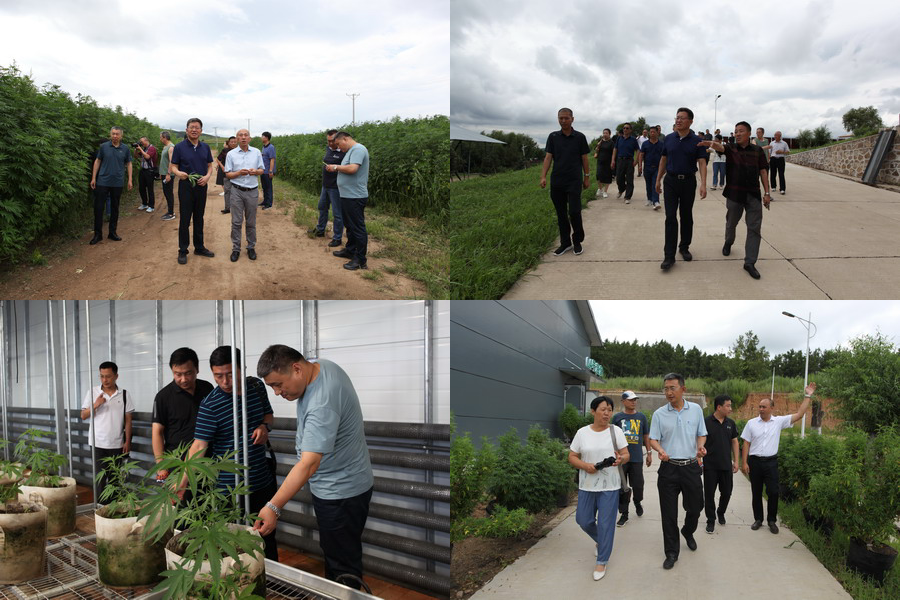 香港六家宝典资料大全