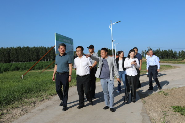 香港六家宝典资料大全