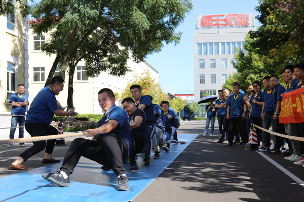 香港六家宝典资料大全