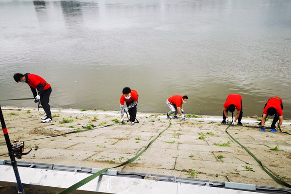 香港六家宝典资料大全