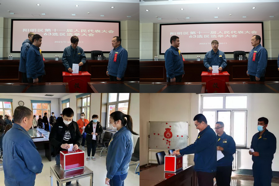 香港六家宝典资料大全