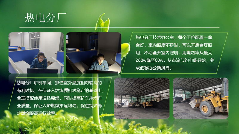 香港六家宝典资料大全