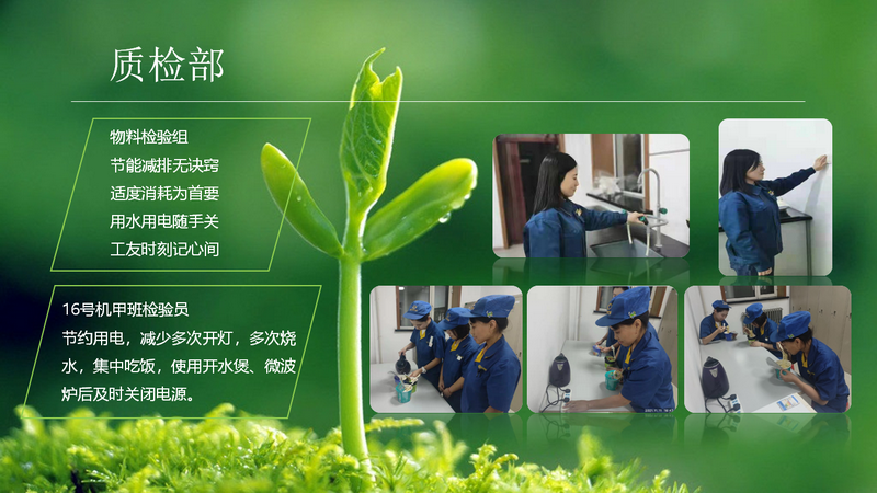 香港六家宝典资料大全