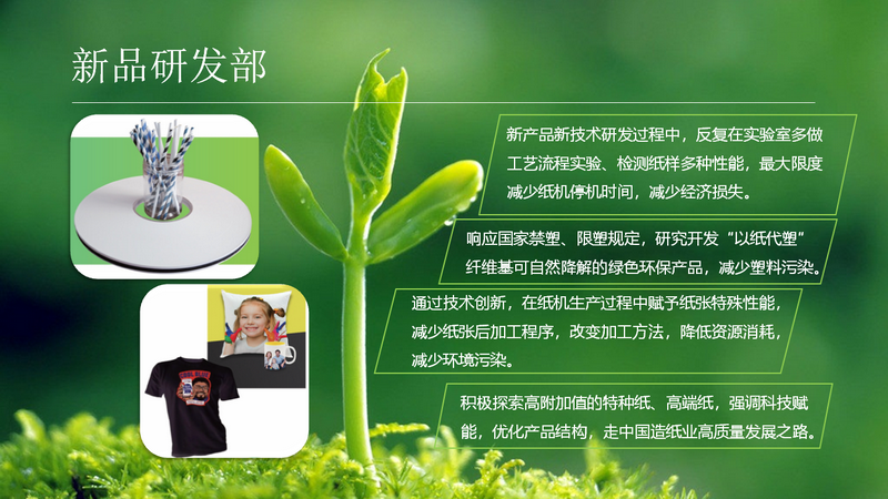 香港六家宝典资料大全