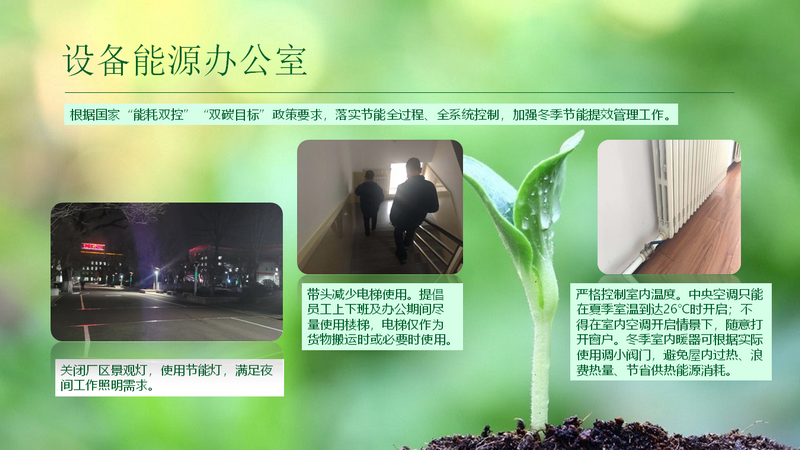 香港六家宝典资料大全