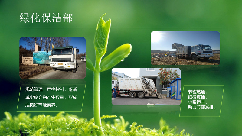 香港六家宝典资料大全