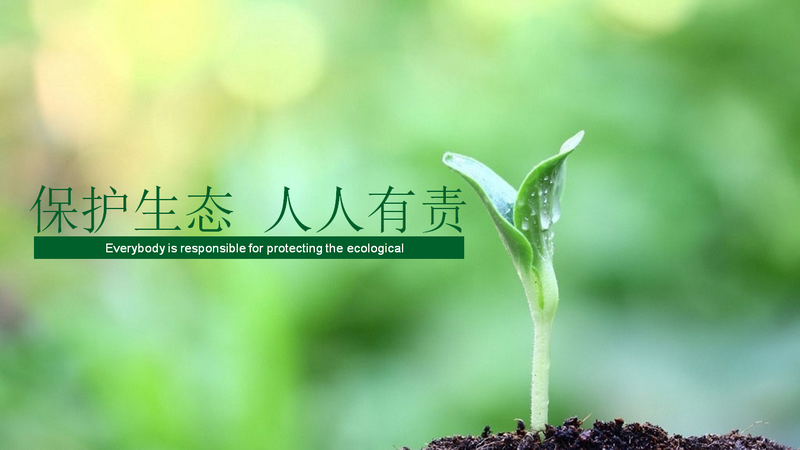 香港六家宝典资料大全