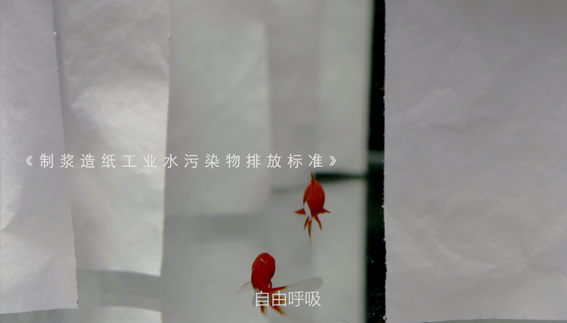 香港六家宝典资料大全