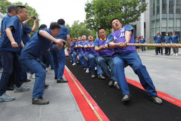 香港六家宝典资料大全