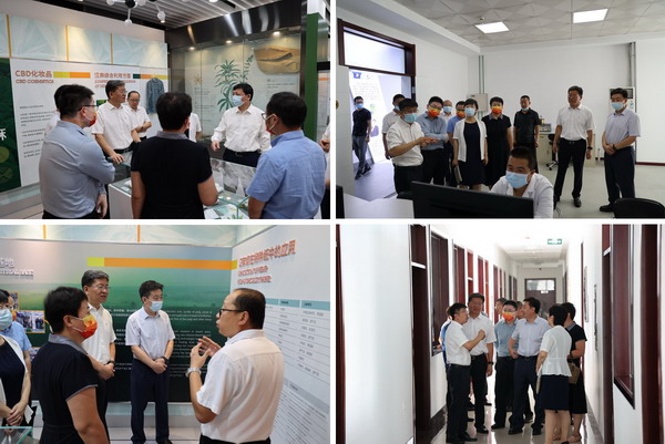 香港六家宝典资料大全