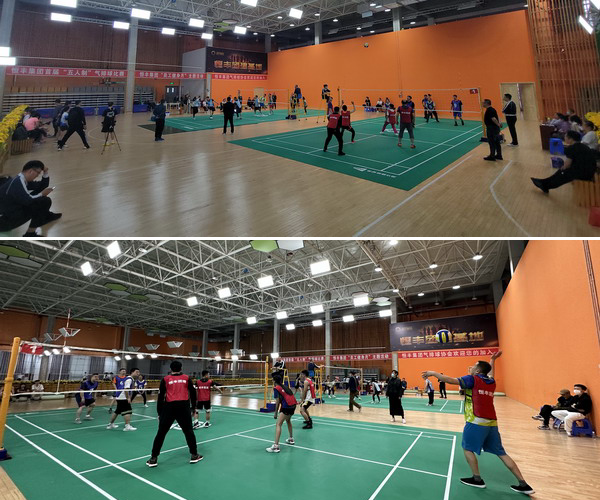 香港六家宝典资料大全