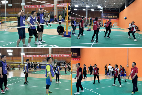 香港六家宝典资料大全