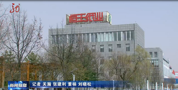 香港六家宝典资料大全