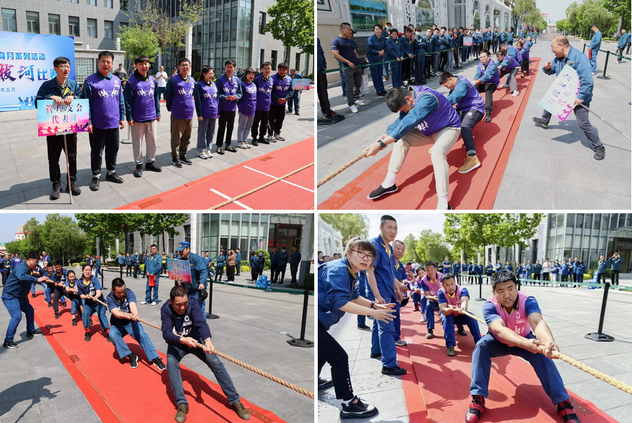 香港六家宝典资料大全