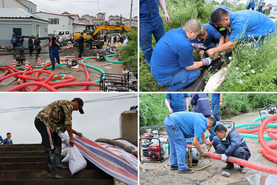 香港六家宝典资料大全