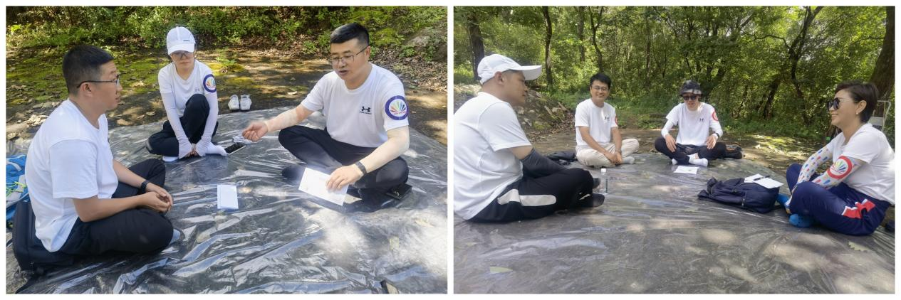 香港六家宝典资料大全