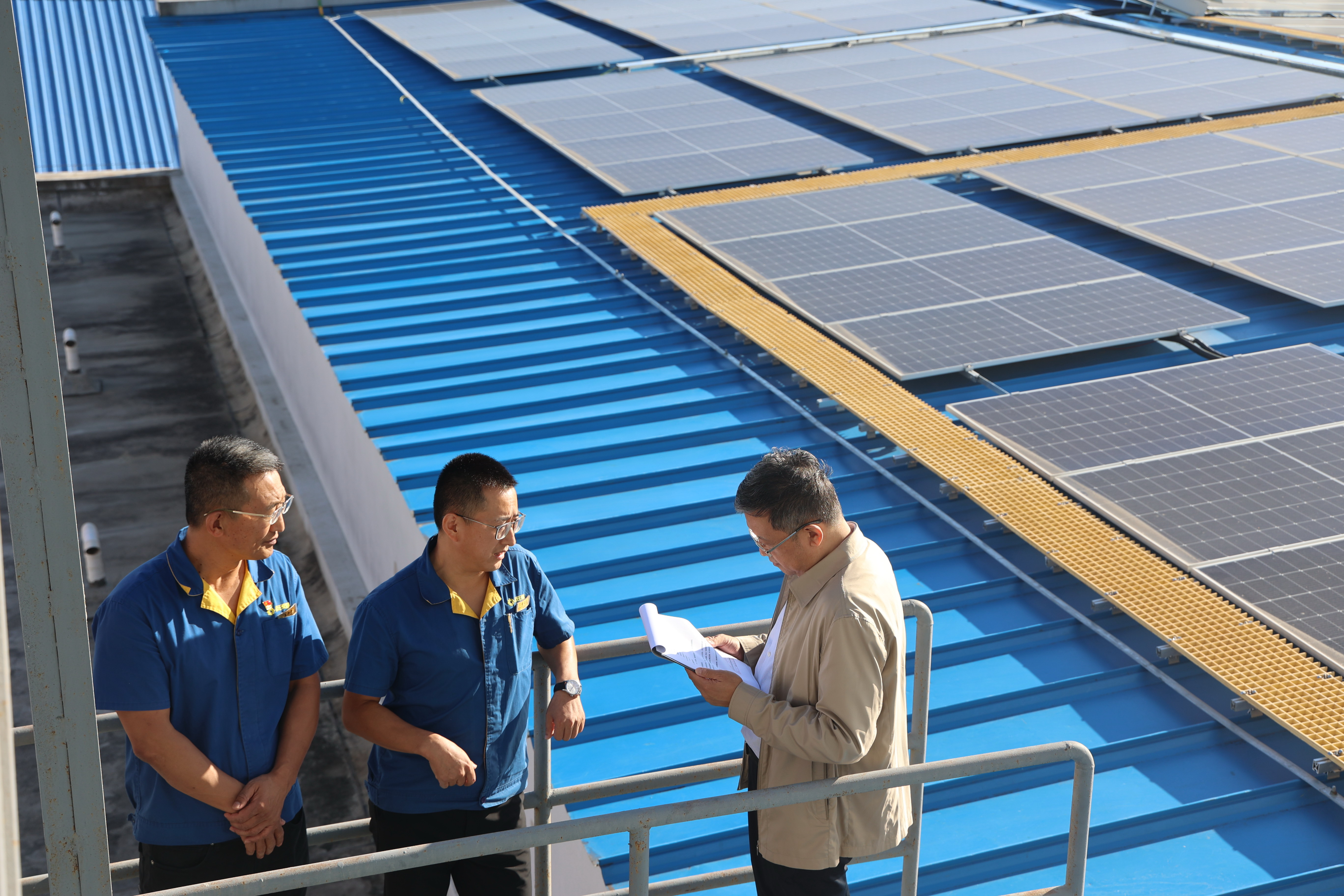 香港六家宝典资料大全