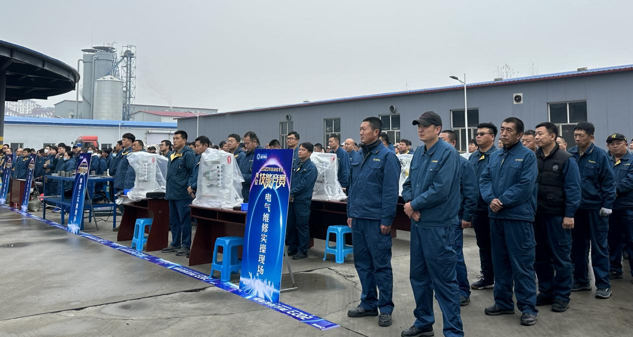 香港六家宝典资料大全